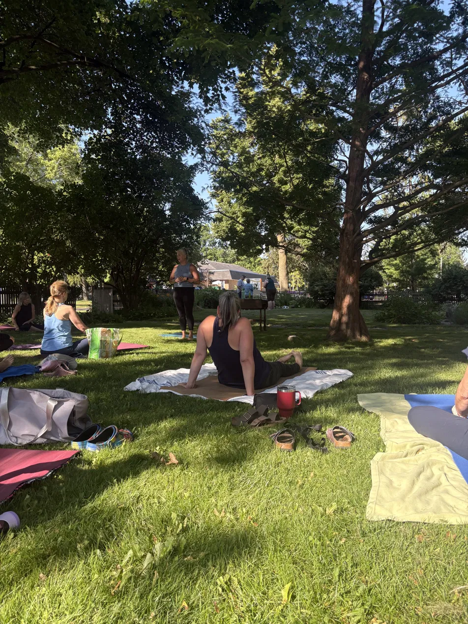 Students seated on mats beneath tall shade trees in a park